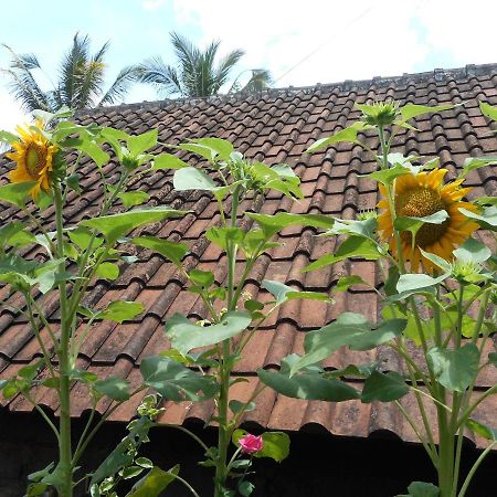 Ming Homestay Sidemen  Zewnętrze zdjęcie